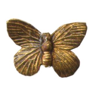 Animals Birds and Insects